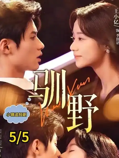 半城烟火半城霜 都市剧全集免费在线观看
